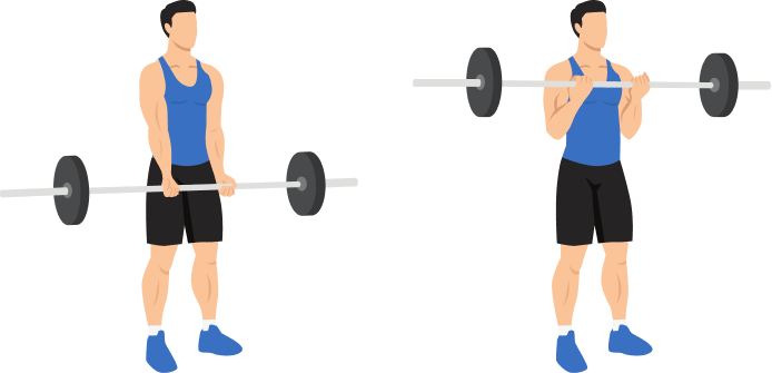 Barbell Curl demonstration